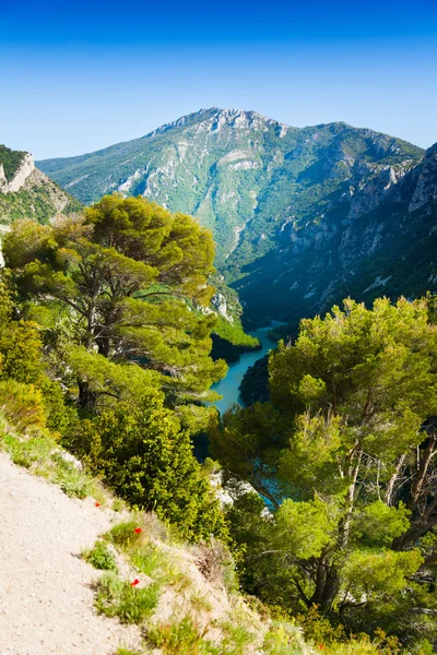 Verdon Nehri