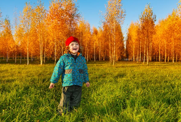 Happy child in autumn park — Stock Photo, Image