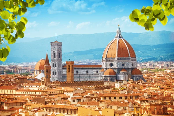 Basilica di santa maria del fiore — Stockfoto