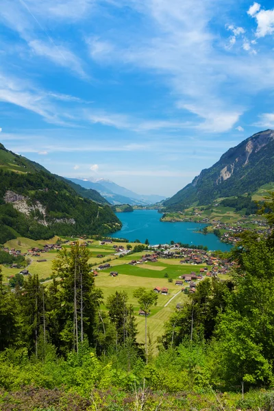 Közel grindelwald gyönyörű természet — Stock Fotó