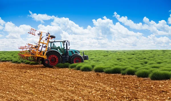 Tractor arando el campo de lavanda — Foto de Stock