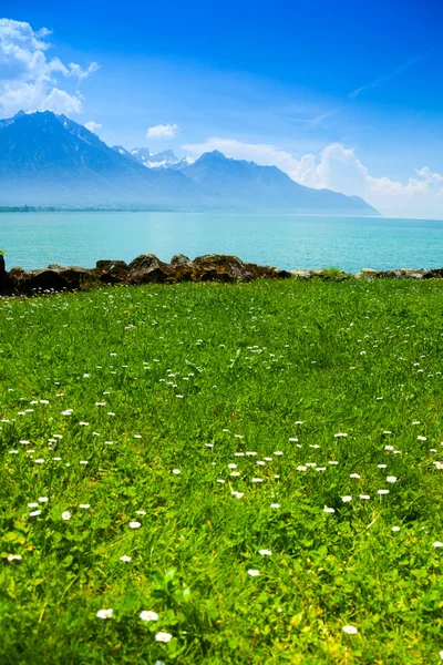 Paisaje con lago de Ginebra cerca de los Alpes —  Fotos de Stock