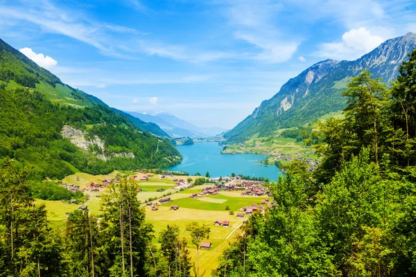 Grindelwald yakınındaki Manzaralı — Stok fotoğraf