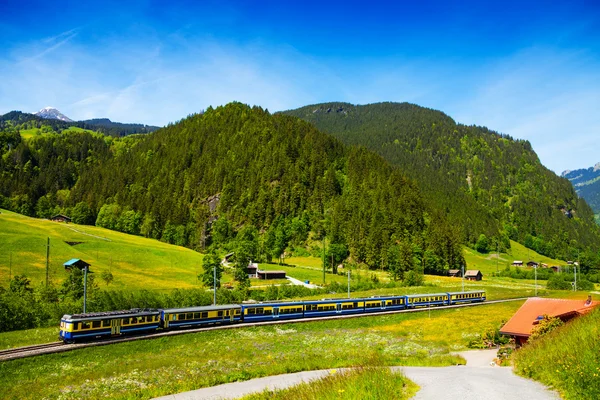 Tren que cruza la verde campiña en Suiza — Foto de Stock