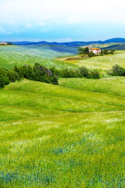 Toskana Manzarası