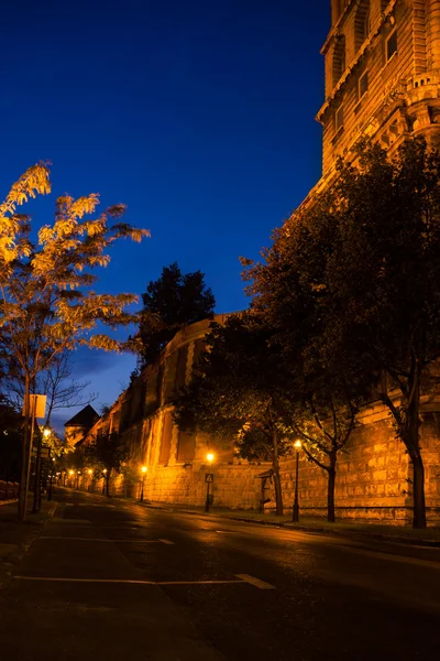 Castello di Buda e Biblioteca Nazionale — Foto Stock