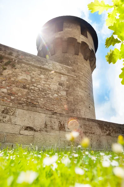 Castillo de Buda — Foto de Stock