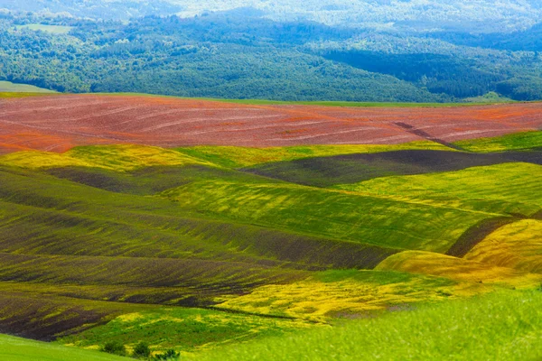Toscana colinas Italia —  Fotos de Stock