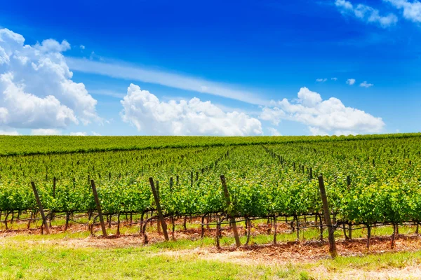 Toscana Landskab - Stock-foto