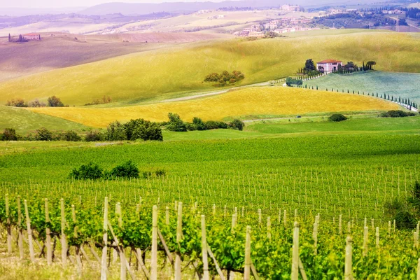 Тосканский пейзаж — стоковое фото