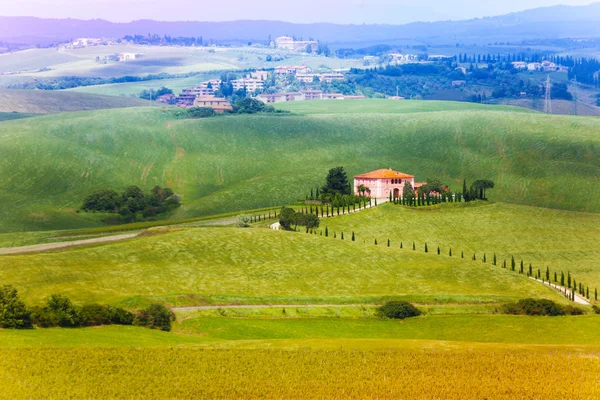 Paysage Toscane — Photo