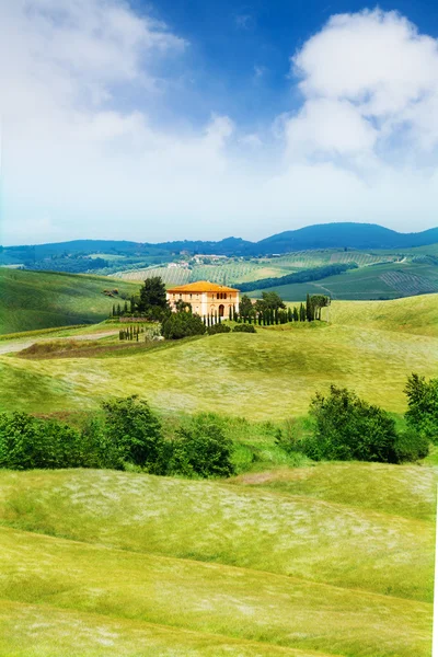 Paysage Toscane — Photo