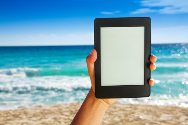 ручная электронная книга
