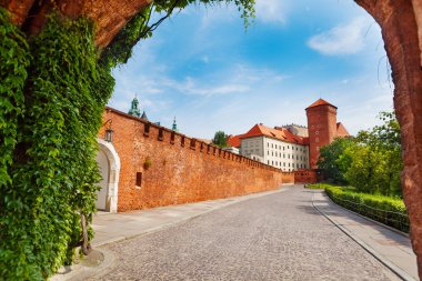 Wawel royal castle view Gates