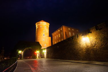 wawel royal castle Krakow, Polonya'nın