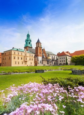 Royal archcathedral Bazilikası, wawel Kalesi