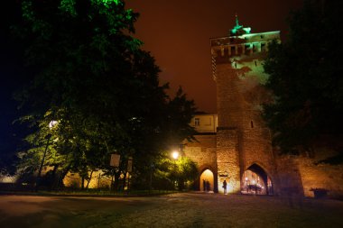 St. Florian's Street gates at night in Krakow clipart