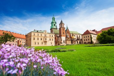 wawel royal castle yakınındaki güzel manzara