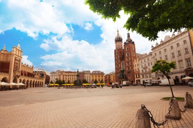 güzel saint mary's basilica ve rynek glowny