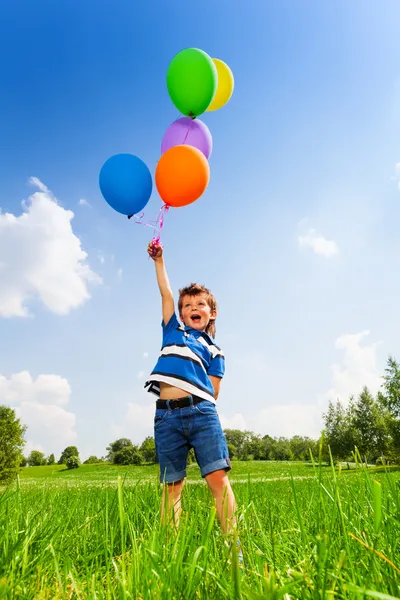 Excited boy with colorful balloons in green park — Stock Photo, Image