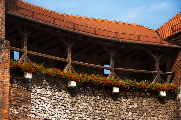 Close-up van de muren in de Koninklijke kasteel wawel — Stockfoto