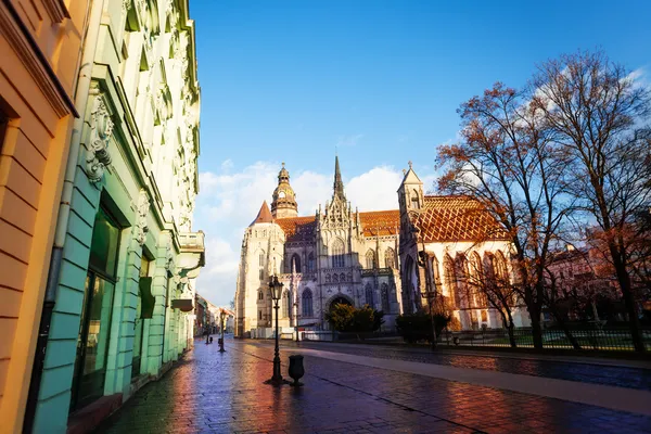 St elisabeth katedralde kosice, Slovakya — Stok fotoğraf