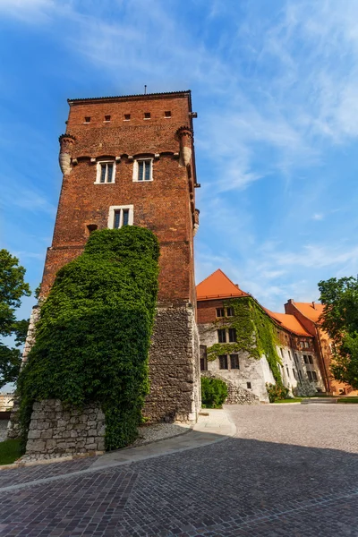 Zdi věže wawel královský hrad v Krakově — Stock fotografie