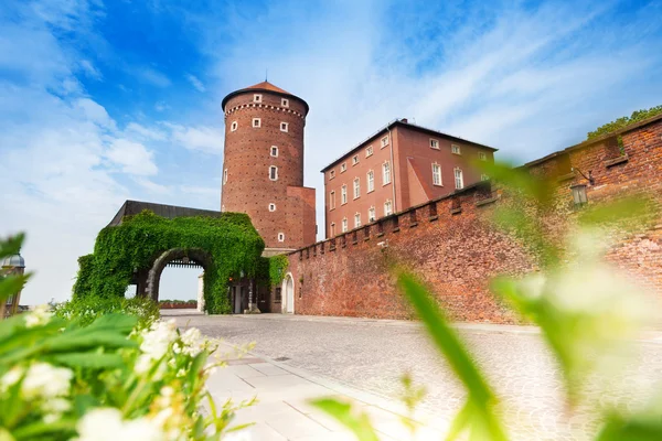 Wände des wunderschönen königlichen Wawel-Schlosses in Krakau — Stockfoto