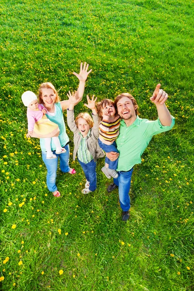Lachende familieportret vanaf top plek in park — Stockfoto