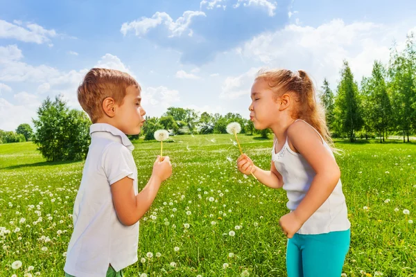 Kids blow dandelions — Stock Photo, Image