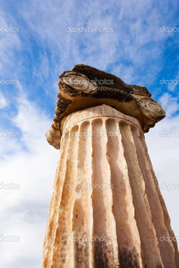 Column in Delphi