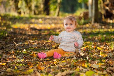 Mutlu sarışın çocuk güneşli sonbahar ormanlarında oturuyor.