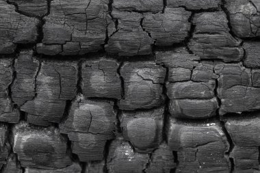 Yanmış kömürleşmiş ahşap dokular yüzey detaylarını yakından incele