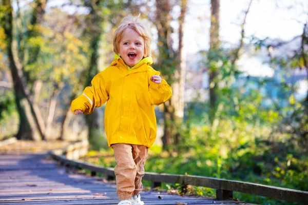 Happy Little Kid Działa Ścieżce Drewna Chodzić Słonecznym Lesie Jesienią — Zdjęcie stockowe