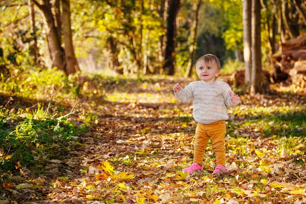 在秋天的森林里 害怕的小女孩悲伤地哭着 — 图库照片