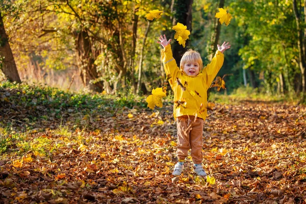 Happy Little Boy Yellow Bright Coat Throwing Leaves Sunny Autumn — Stock Photo, Image