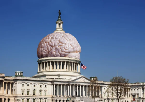 Gehirn Des Konzepts Der Vereinigten Staaten Kapitol Gebäude Mit Paar — Stockfoto