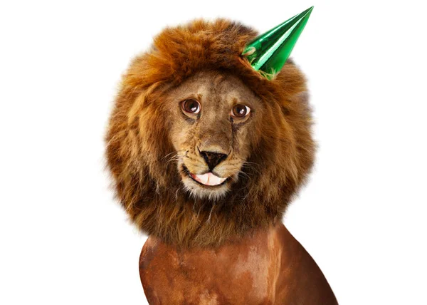 Joyeux Lion Souriant Avec Chapeau Anniversaire Sur Tête Isolé Sur — Photo