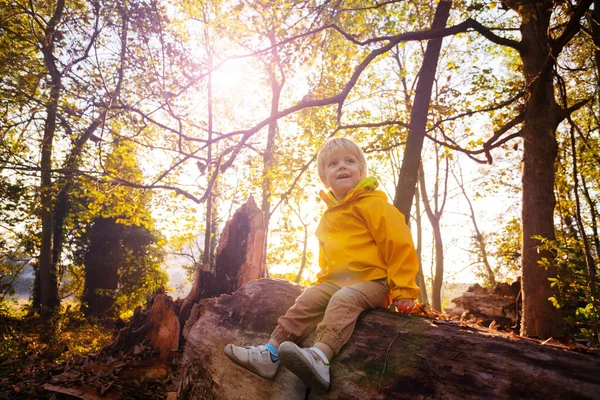 Felice Ragazzo Autunno Foresta Tramonto Seduto Grande Tronco Cappotto Pioggia — Foto Stock