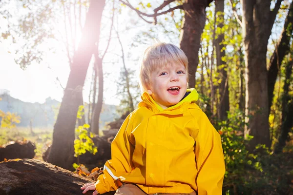 笑いながら3歳の少年は 背景にレンズフレアと太陽と明るいコートを着て森の中でログに座って — ストック写真