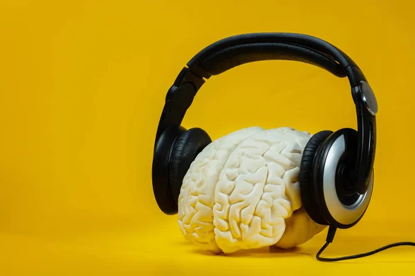 Écouteurs Sur Cerveau Intelligent Bonne Musique Concept Écoute — Photo