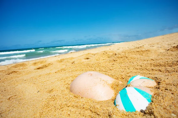 Живот Беременной Женщины Похоронен Песке Пляже Крупным Планом Море Заднем — стоковое фото