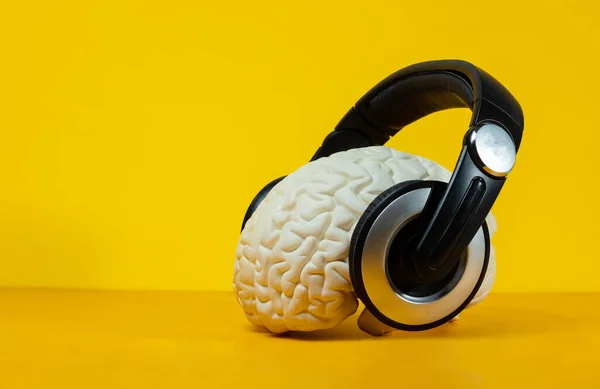 Brain Listening Music Headphones Head View Side Blue Background — Stock Photo, Image