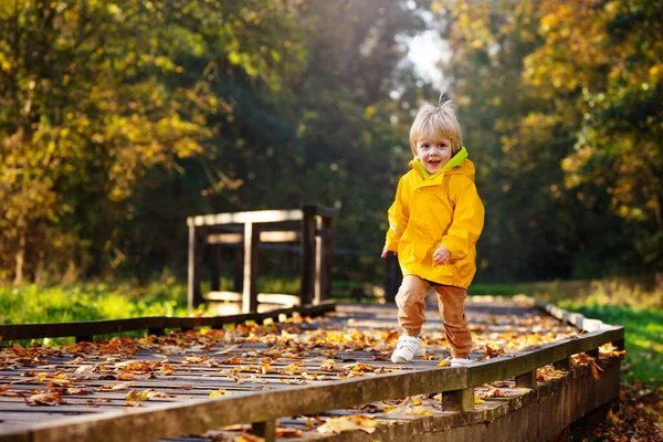 Glad Pojke Bär Gul Ljus Rock Löper Trä Stig Promenad — Stockfoto