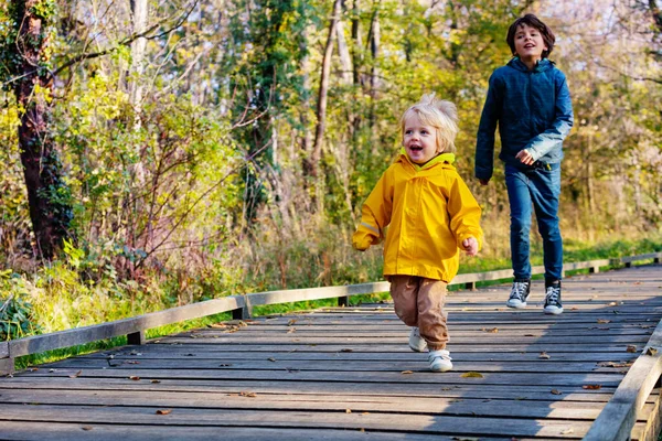 Fratelli Felici Che Corrono Sentiero Legno Passeggiata Nella Soleggiata Foresta — Foto Stock