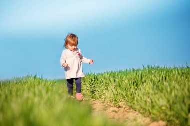 Little toddler girl in pink dress walk in the clear spring field over blue sky