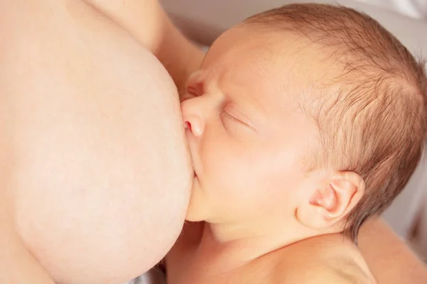 Close Newborn Infant Baby Face Breastfeed Mother — Fotografia de Stock