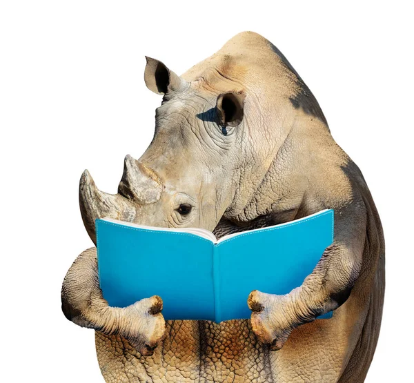 Concept Rhinocéros Intelligent Lisant Livre Vue Face Isolé Sur Blanc — Photo