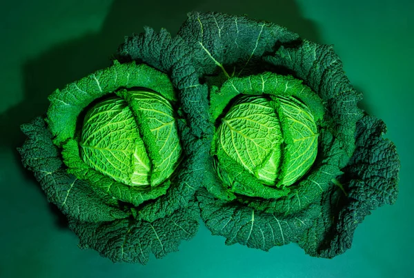 View Two Savoy Cabbage Head Green Background Organic Farming Bio — Stok fotoğraf