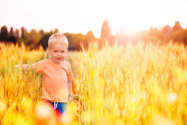 Petit Bambin Blond Heureux Marcher Dans Champ Blé Avec Lumière — Photo